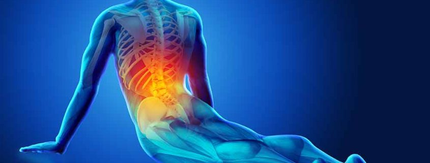 Seminario Anatomia dello yoga vicenza